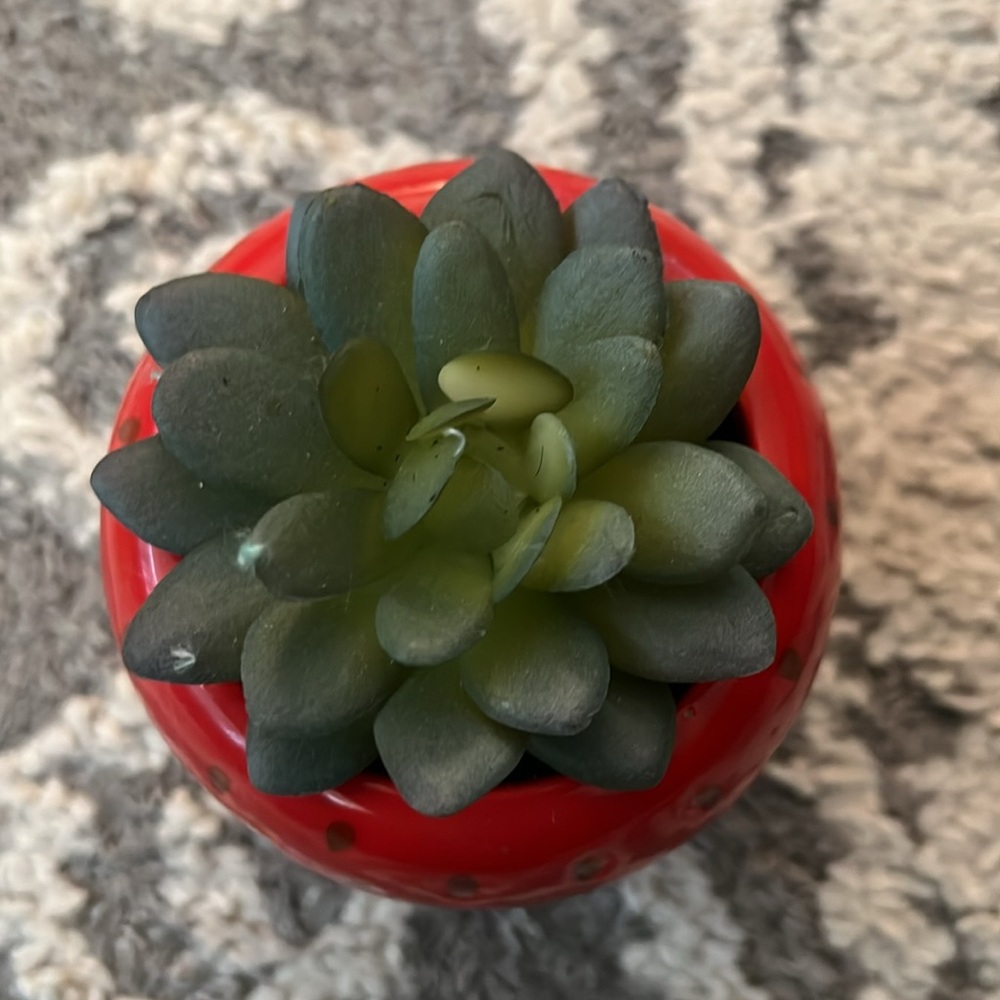 Target faux succulents, pineapple and strawberry, NWT! - Picture 6 of 7